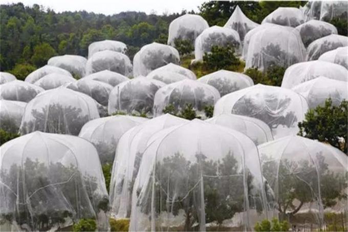 온실 사용 플라스틱 곤충 메시, 처녀 HDPE 곤충 증거 그물세공