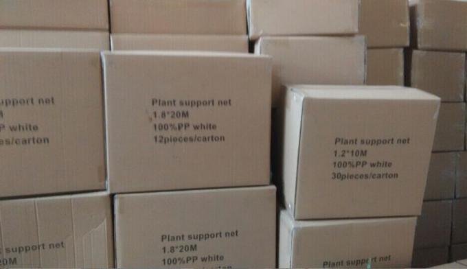 1.2m x 1.2m 식물 보호 그물세공, UV 대우된 원예식물 그물세공