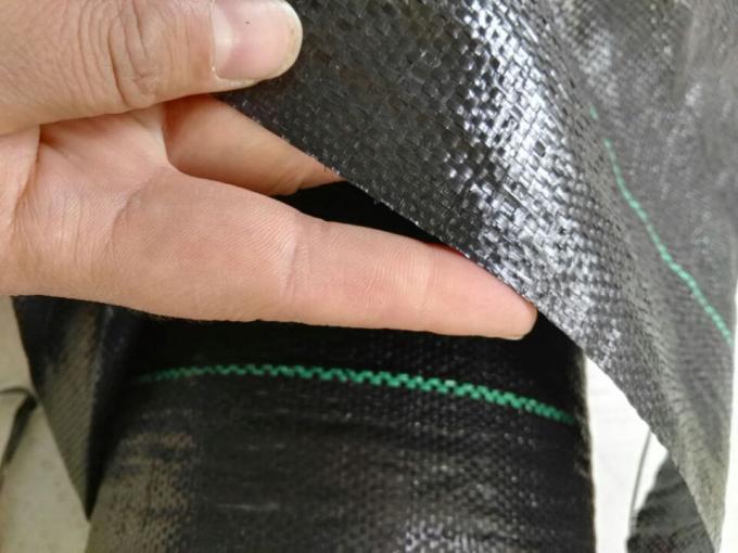 녹색 선 및 사각 선을 가진 UV 대우된 처녀 PP 잡초 방제 직물