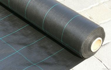 중국 폴리프로필렌에 의하여 길쌈되는 플라스틱 지표 식피, 4.2x100m 100gsm 검정 정원 직물 공장